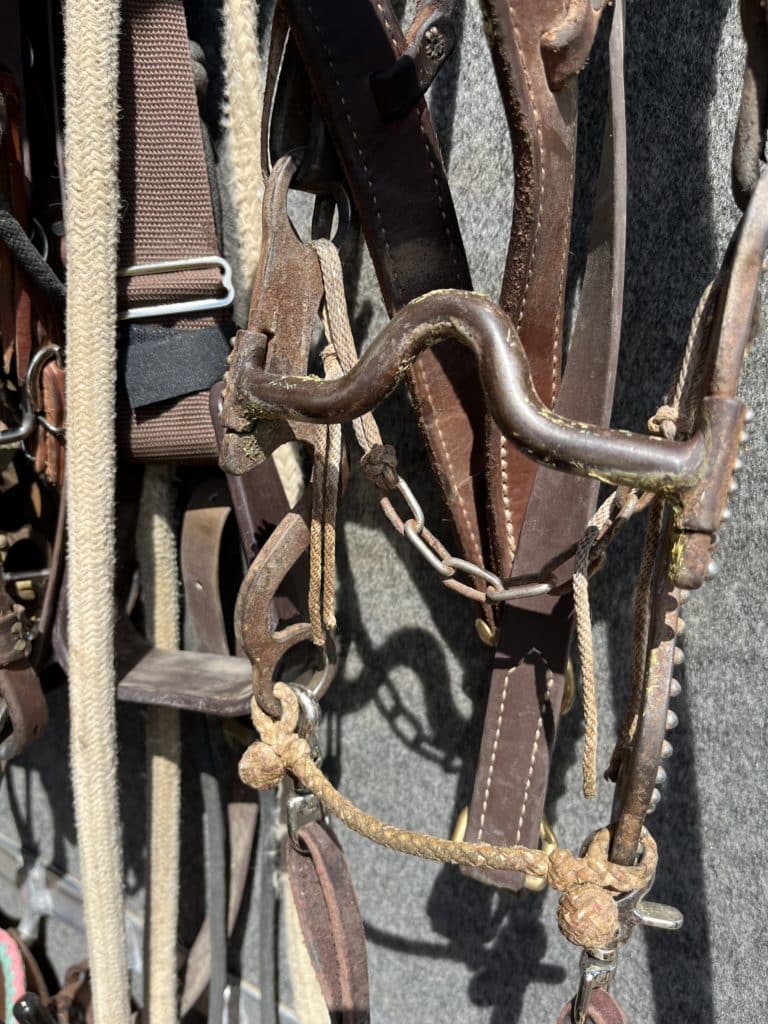 Bit And Boujee: The Winningest Tack In Prorodeo Breakaway This Summer