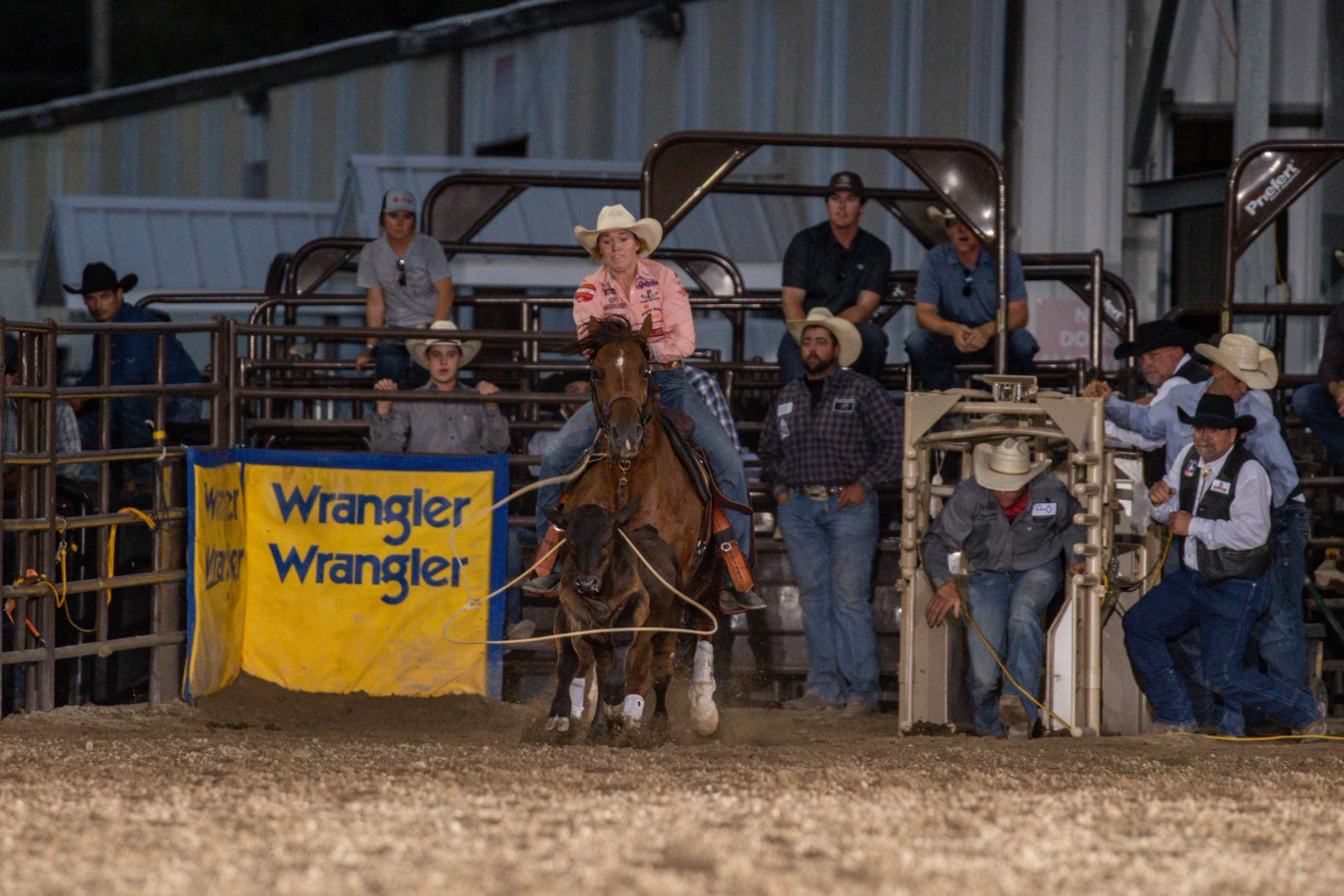 Taylor Munsell, professional breakaway roper