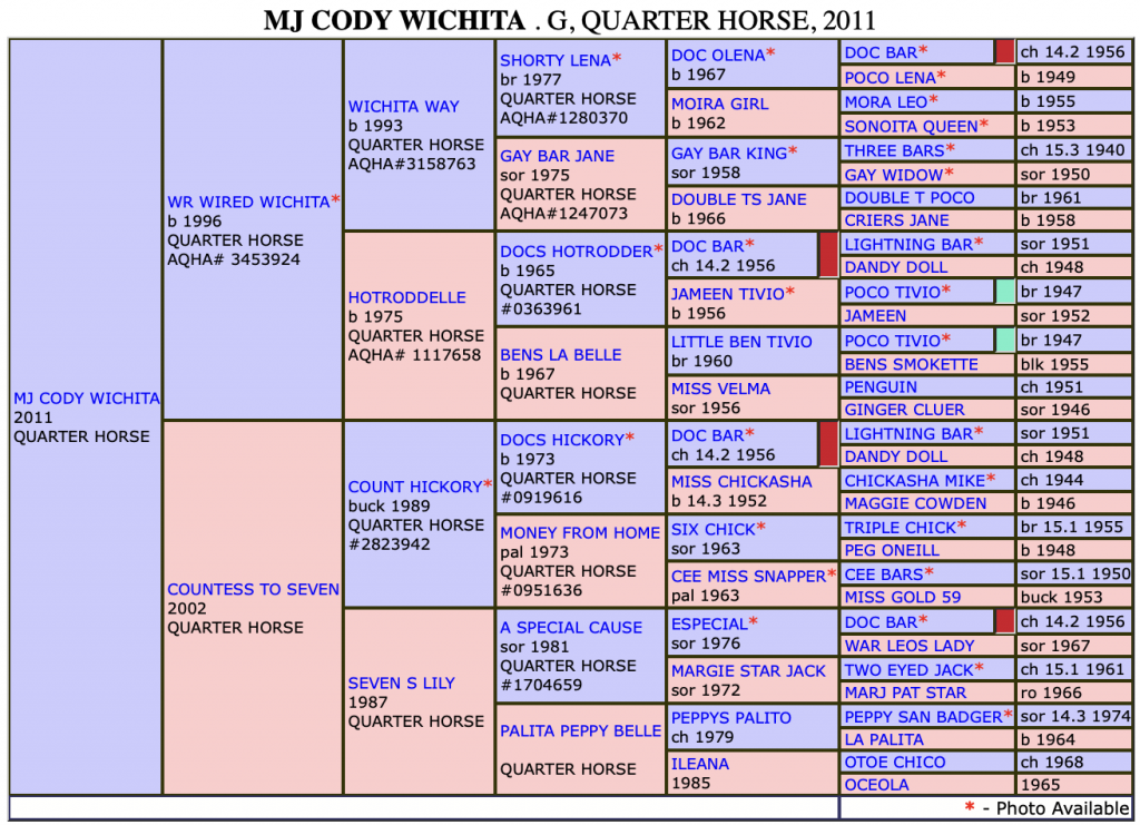 MJ Cody Wichita papers