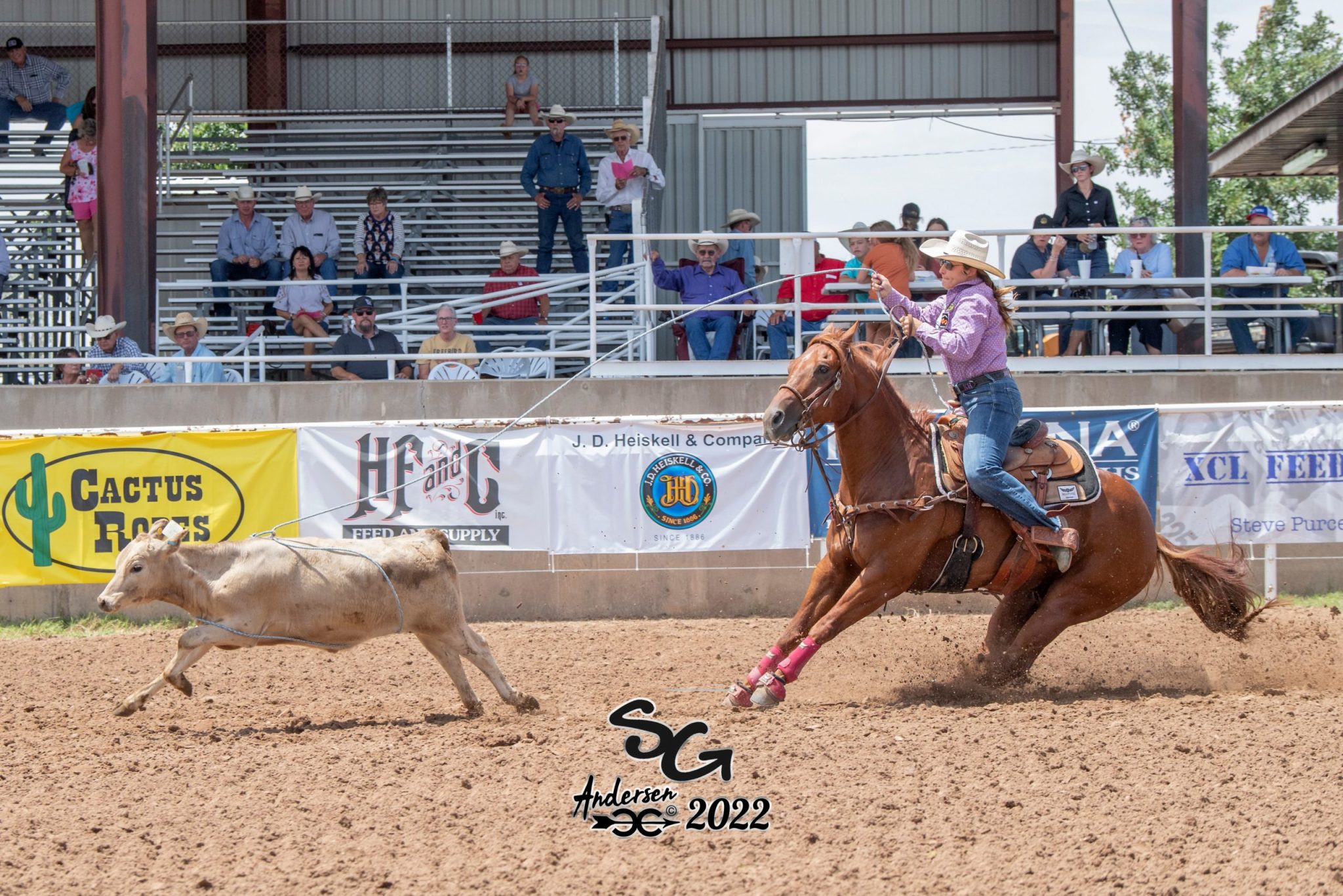 Kayelen Helton Breakaway roping