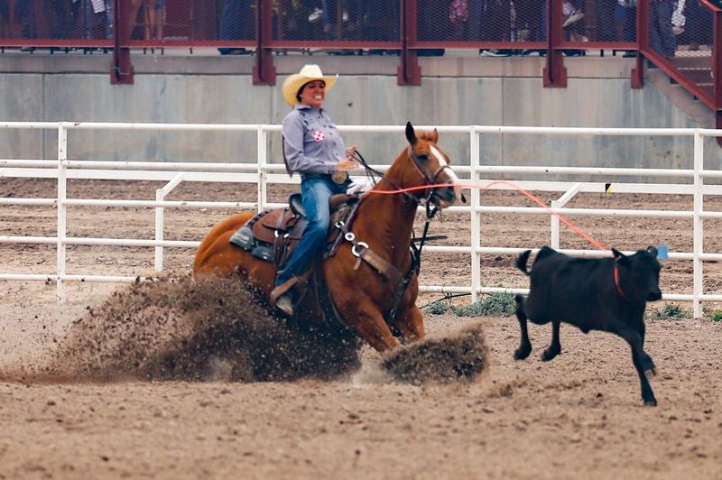 Martha Angelone breakaway roping in Cheyenne, Wyoming