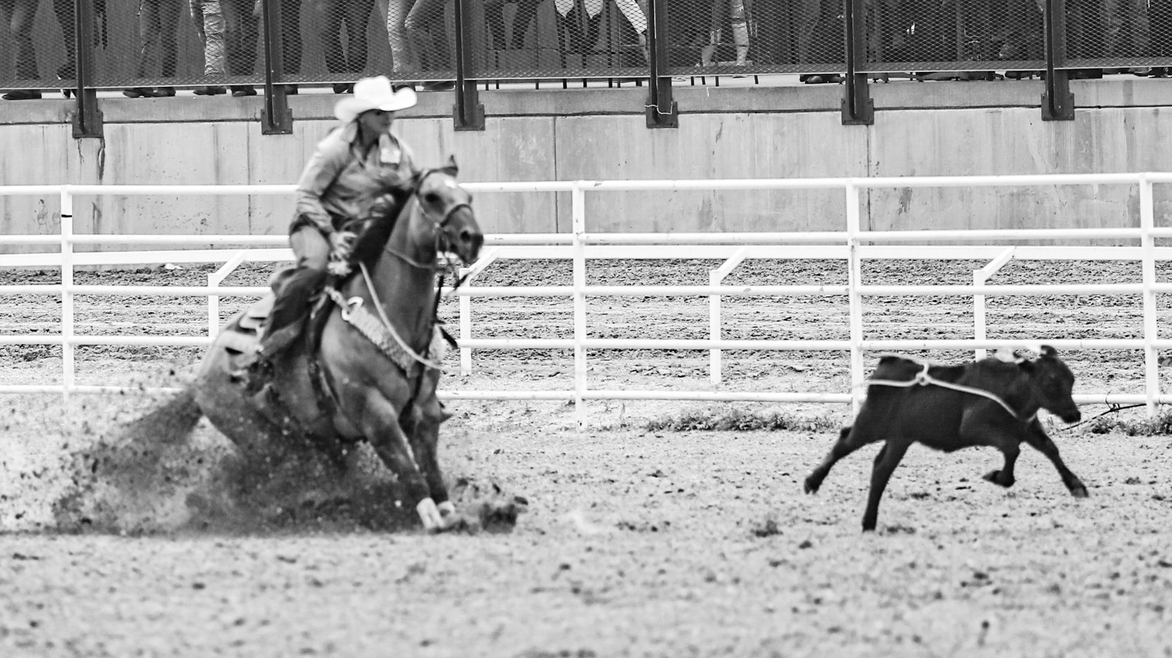 Breakaway Roping’s Richest Prorodeo Circuits