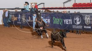 Alee Andrews roping a calf on her jet-black gelding at the 2023 Total Feeds 19 & Under Breakaway.