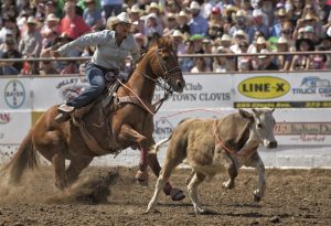 Hanna Hundsdorfer Dominates Clovis Rodeo