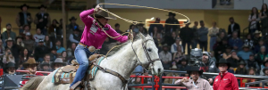 Kendal Pierson breakaway roping at the 2022 Canadian Finals Rodeo.