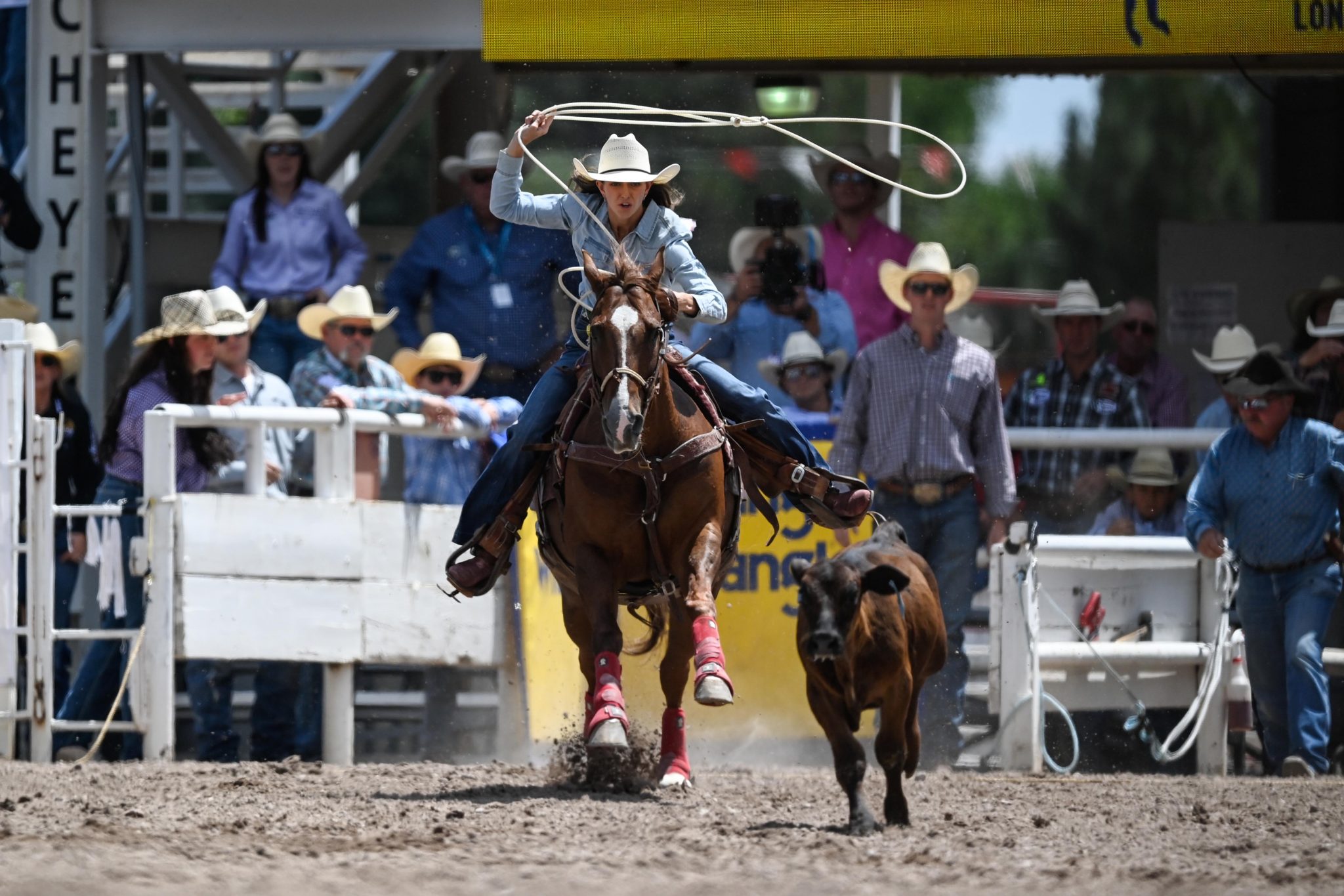 Shayla Hall ropes her calf at cheyenne frontier days