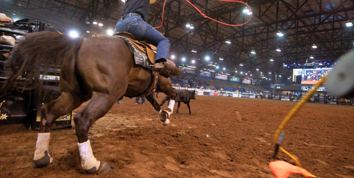 the daddy ladies only roping