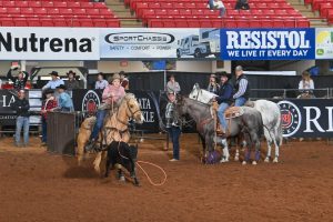 Danielle Wray and Show A Hot Rod breakaway roping