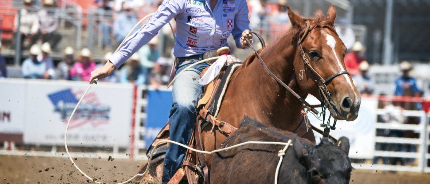 Lil Punch proved himself a gamer from the start—taking to breakaway so easily Shelby (Boisjoli) Meged found herself trying to keep him from being mischievous throughout a run