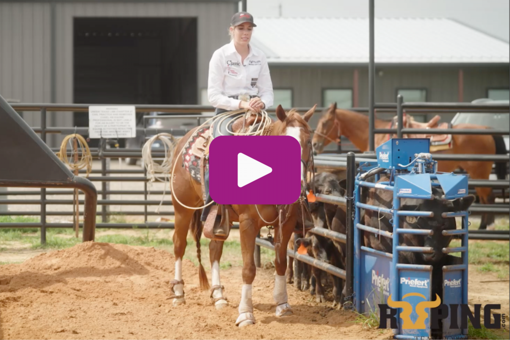 Sarah Angelone riding a sorrel horse backed into the roping box. 