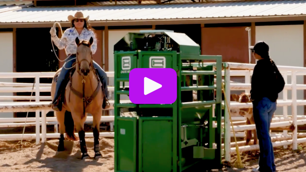 Danielle Lowman riding buckskin horse, backed into the box. 