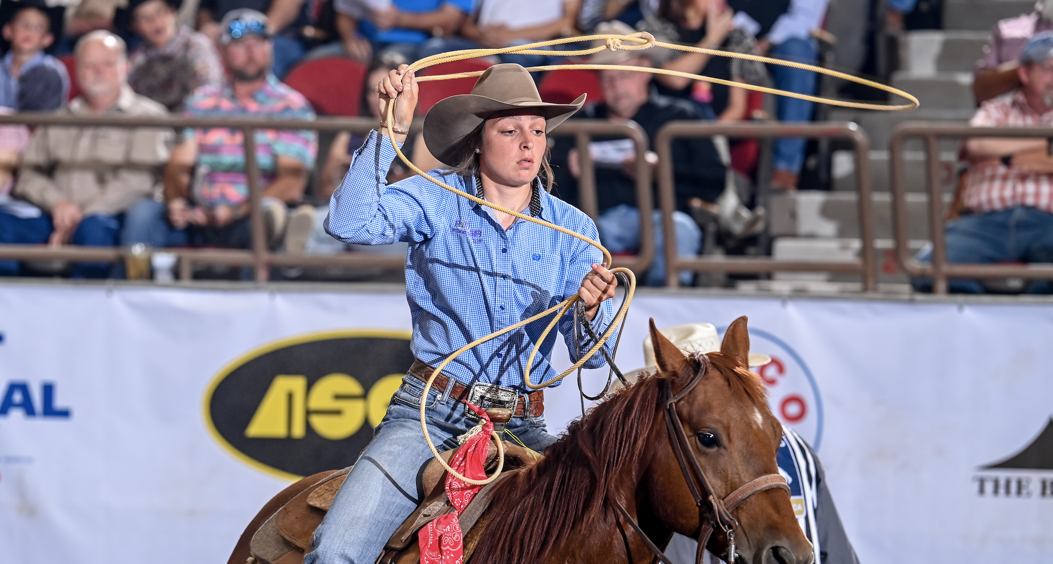 Alli Masters leads the 2024 San Angelo Stock Show & Rodeo early on two head.