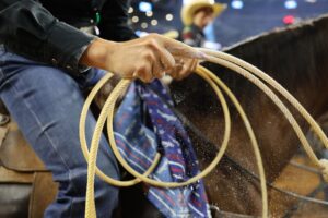 Jordan Jo Hollabaugh prepares to back into the box at the 2024 WRWC, one of the many events supporting women in rodeo.