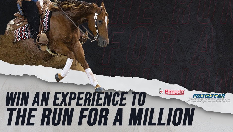 Sign up for a chance to win a once-in-a-lifetime experience in The Run For A Million contest hosted by Horse & Rider and made possible thanks to Bimeda makers of Polyglycan.