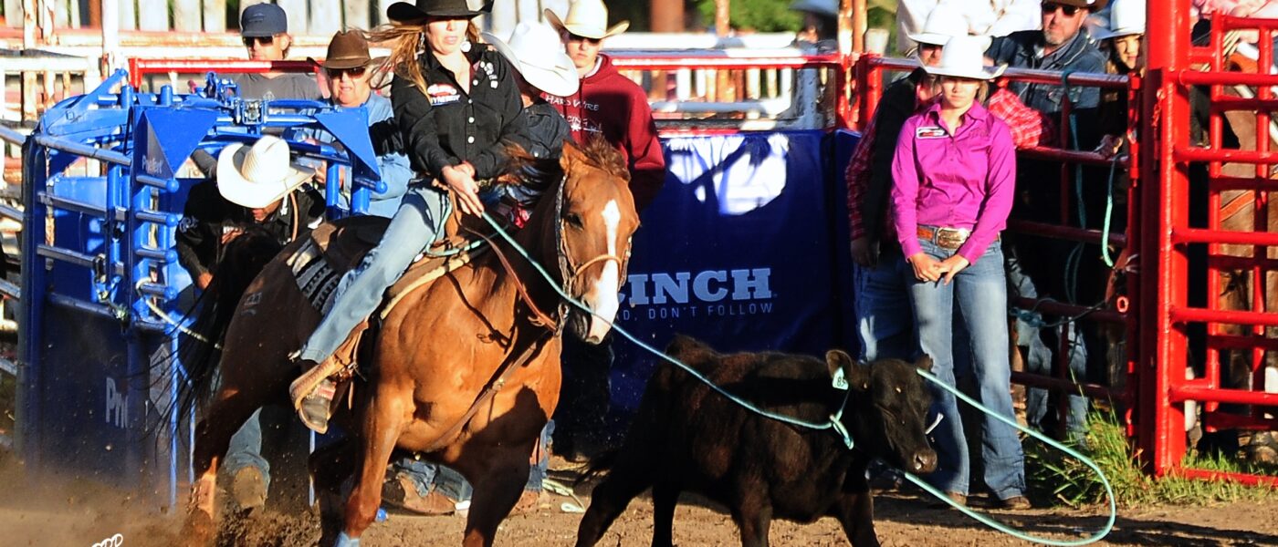 Lakota Bird roping on 'Fifty' at the 2024 Innisfail Rodeo.
