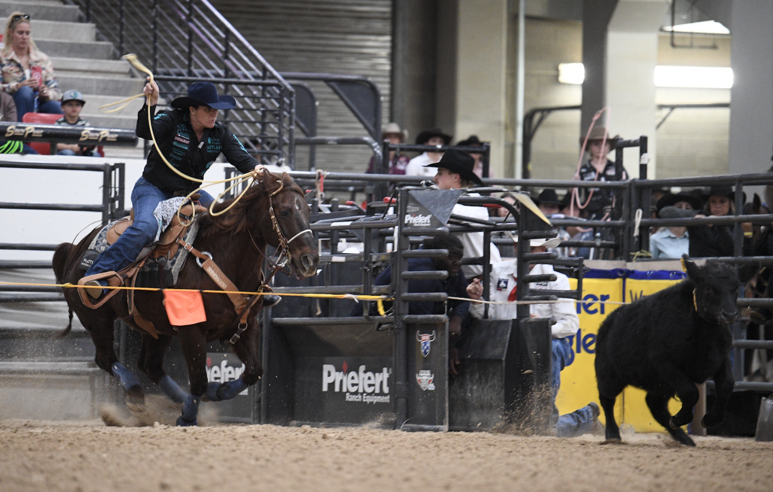 What is a Bell-Collar Catch? Primer on Breakaway Roping Rules