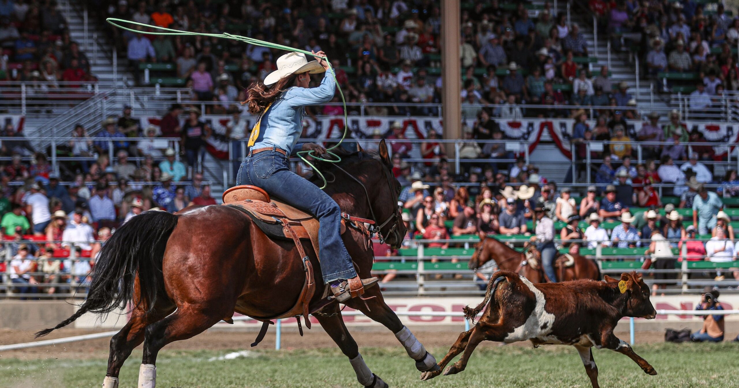 Joey Williams' "Baybe Bullet" received the 2022 AQHA Breakaway Horse of the Year Award.