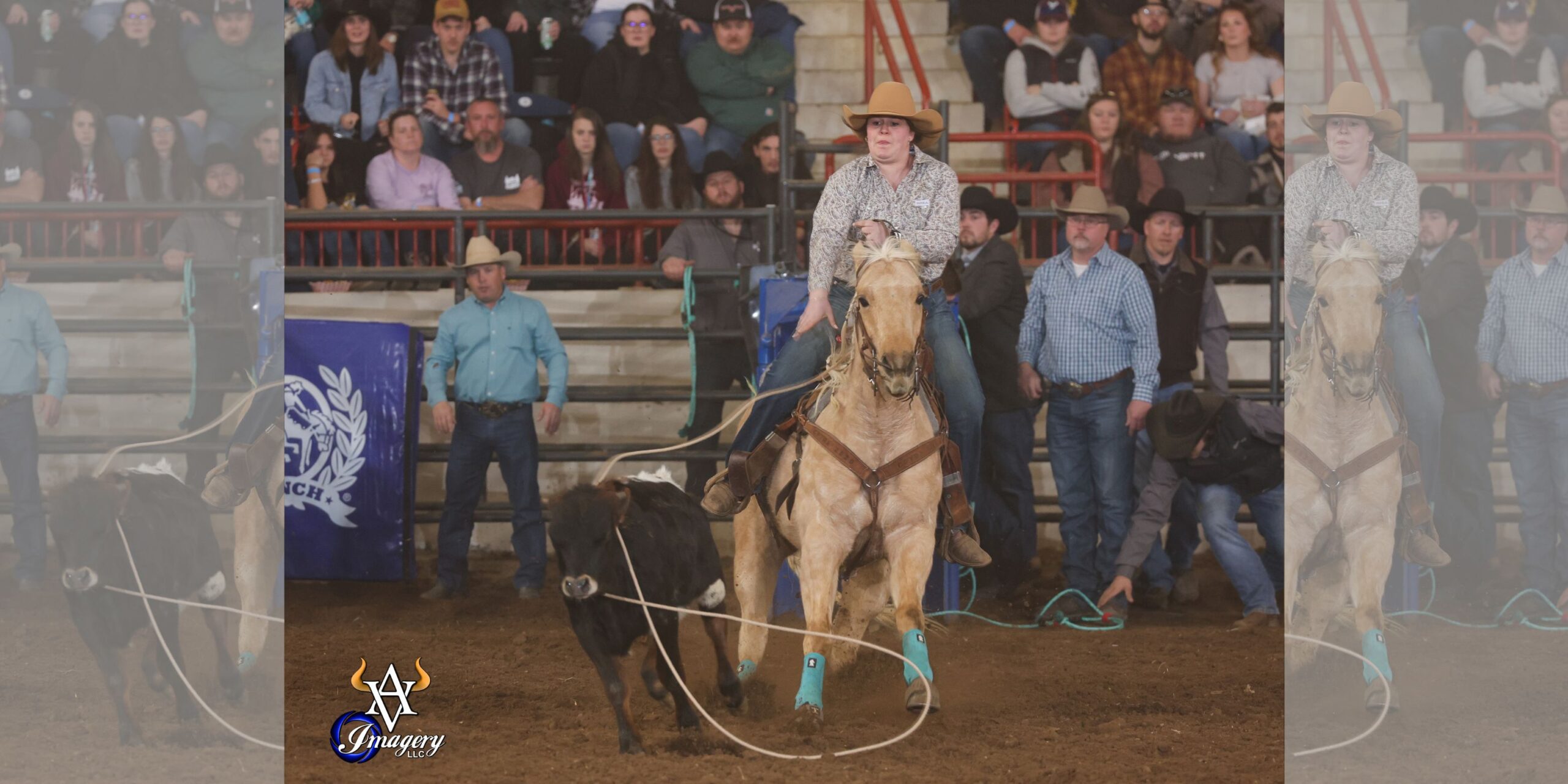 Aimee Getgen and self-trained mare "Martini" lay a loop around a calves' neck at the 2024 First Frontier Circuit Finals.