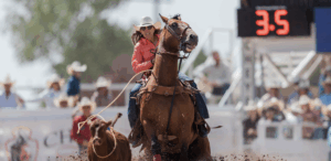 Haiden Thompson and "Tom" break the rope off at Cheyenne Frontier Days.