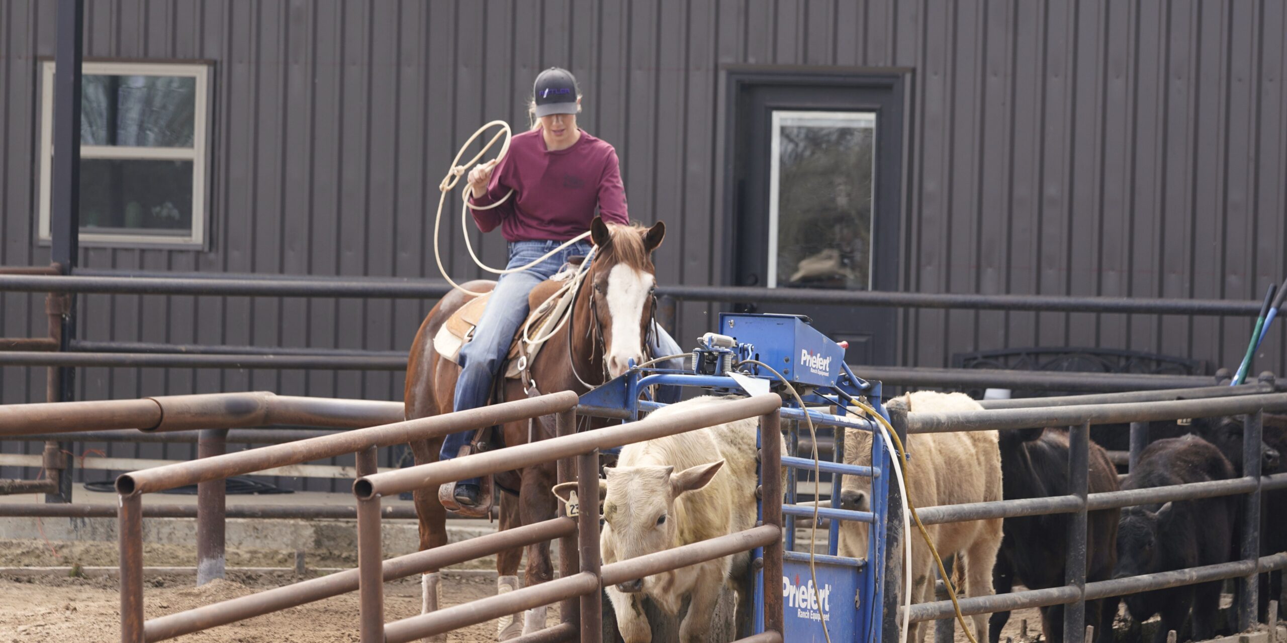 Sarah Angelone_roping