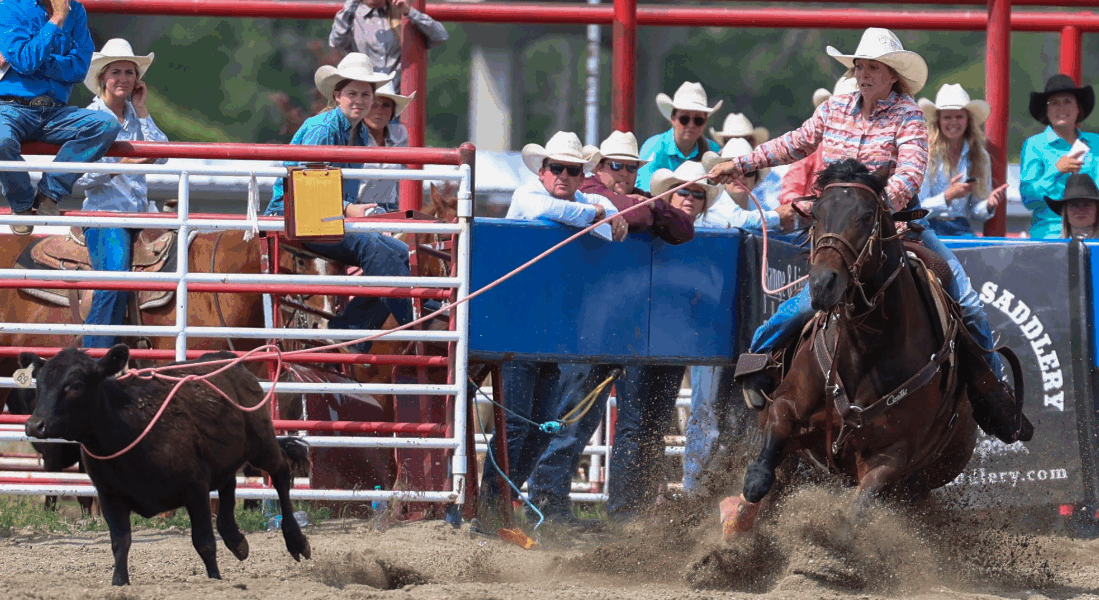 Dusti Bird and "June" made the most of their Cowboy Christmas run in 2025, setting themselves up for a spot in the Montana Circuit Finals.