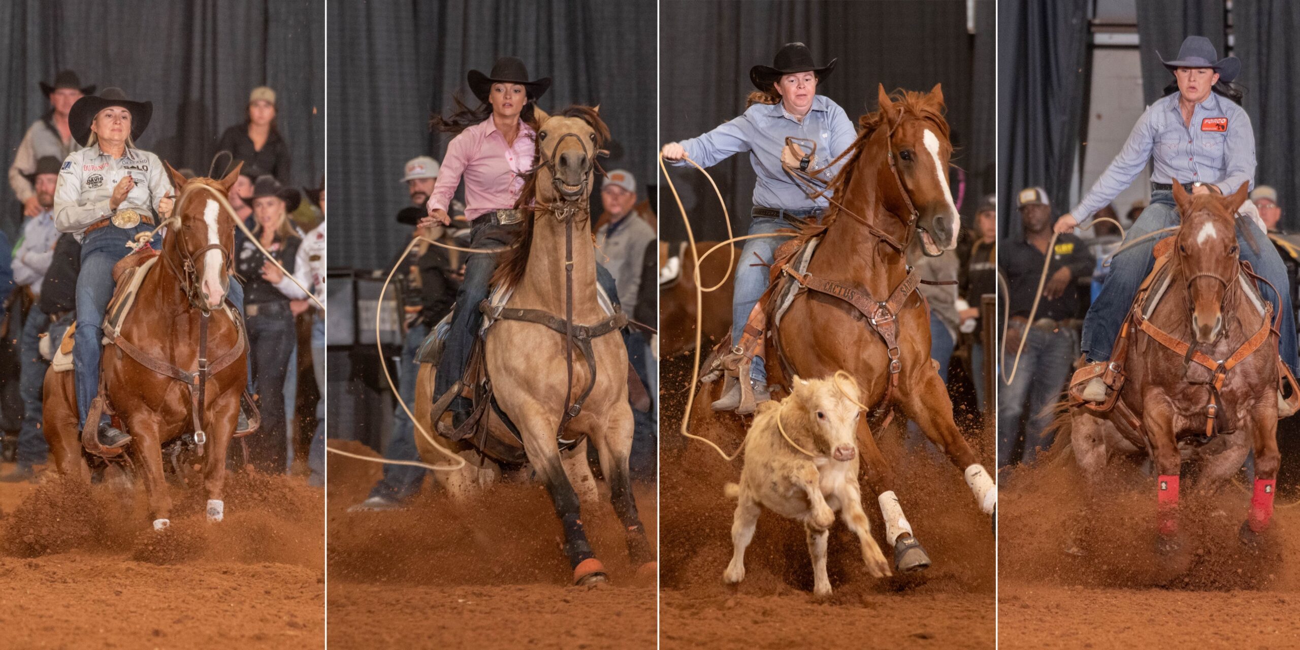 The Gold Buckle Futurity World Finals didn't disappoint, with champions determined by slim margins and piles of cash paid to competitors.