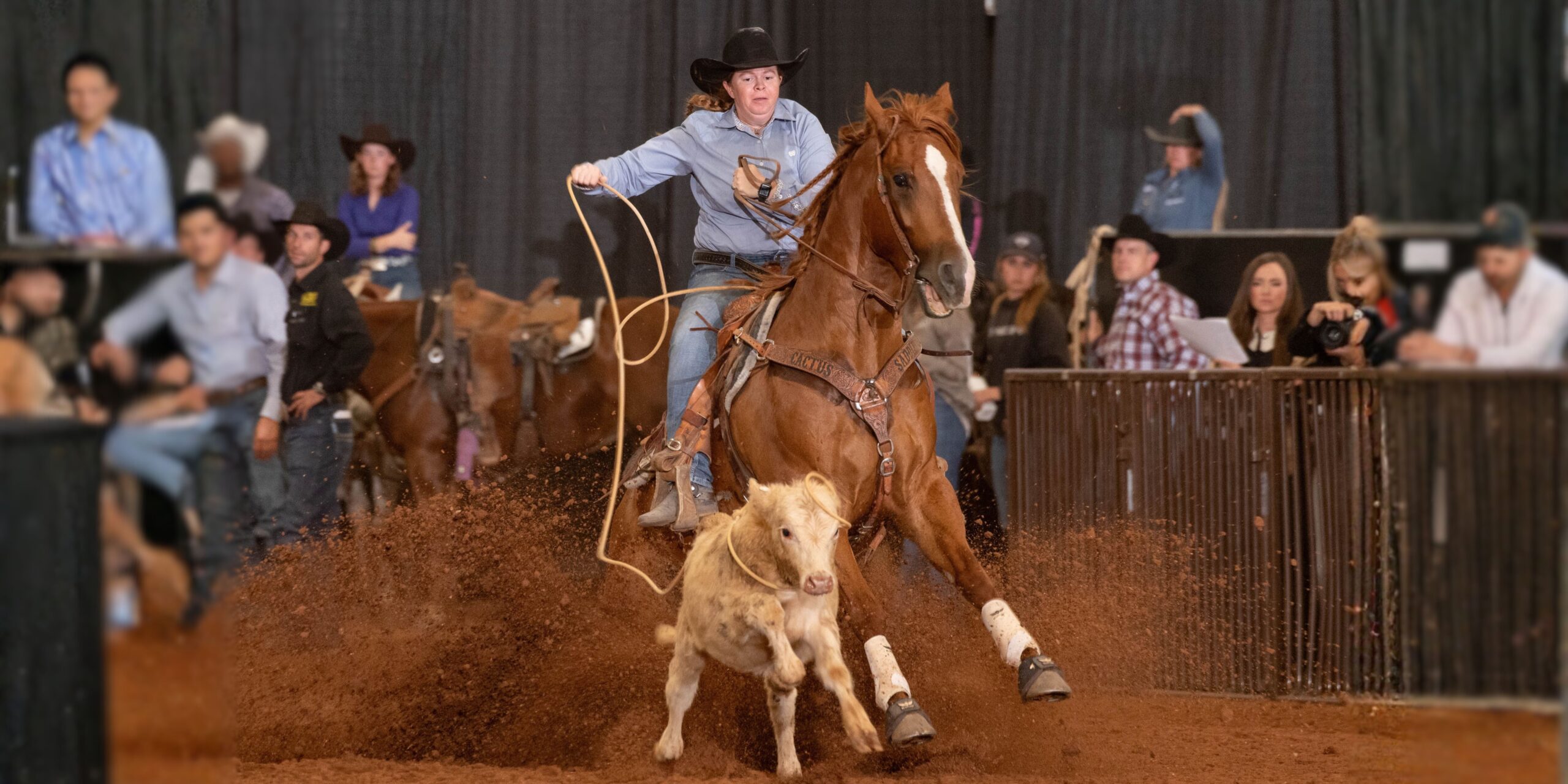 Bradi McDowell and Quanahs Style won both the 4-Year-Old Futurity and Intermediate Division at the 2025 Gold Buckle Futurities World Finals.