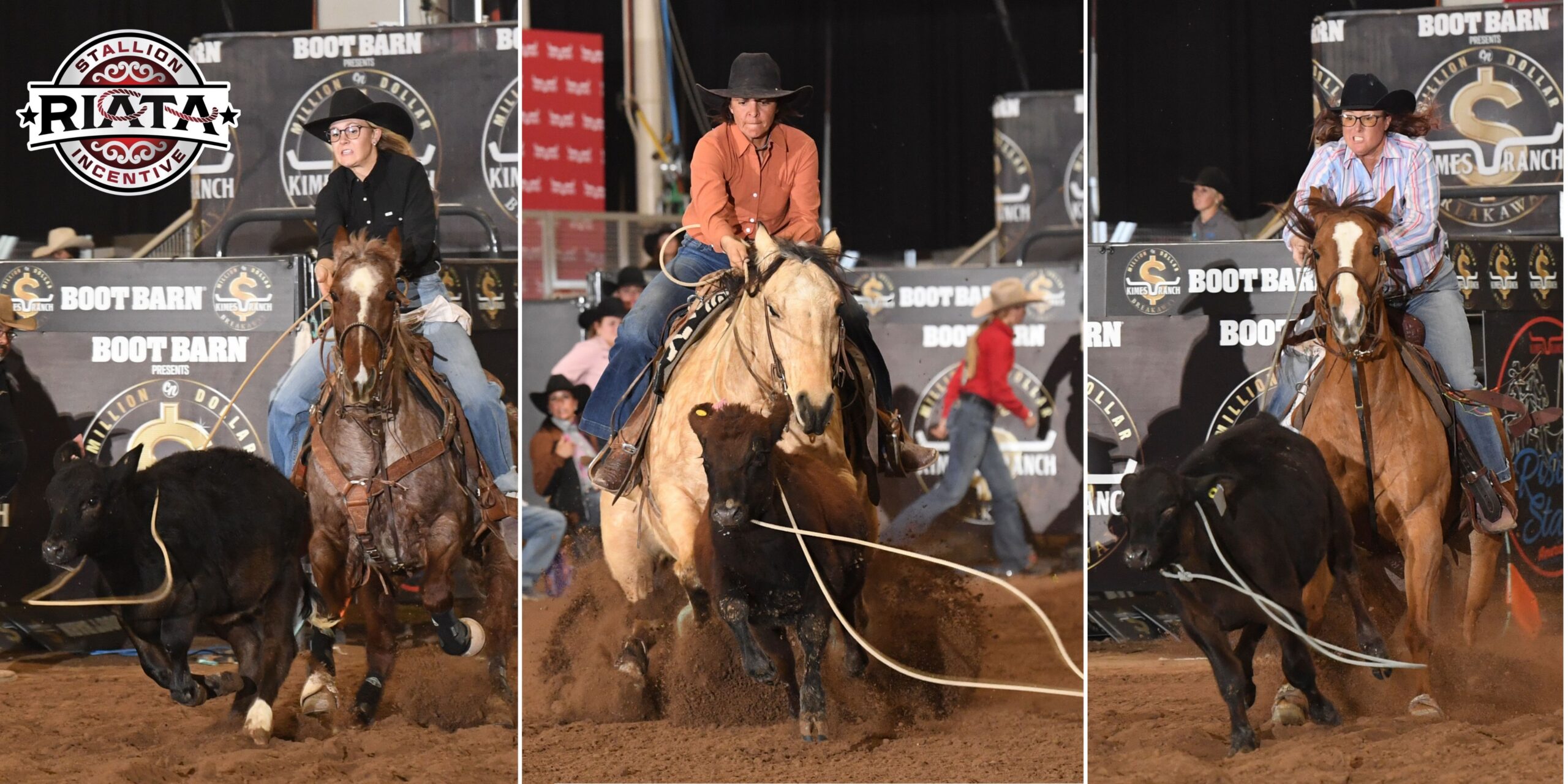 Riata stallion incentive_kimes winners