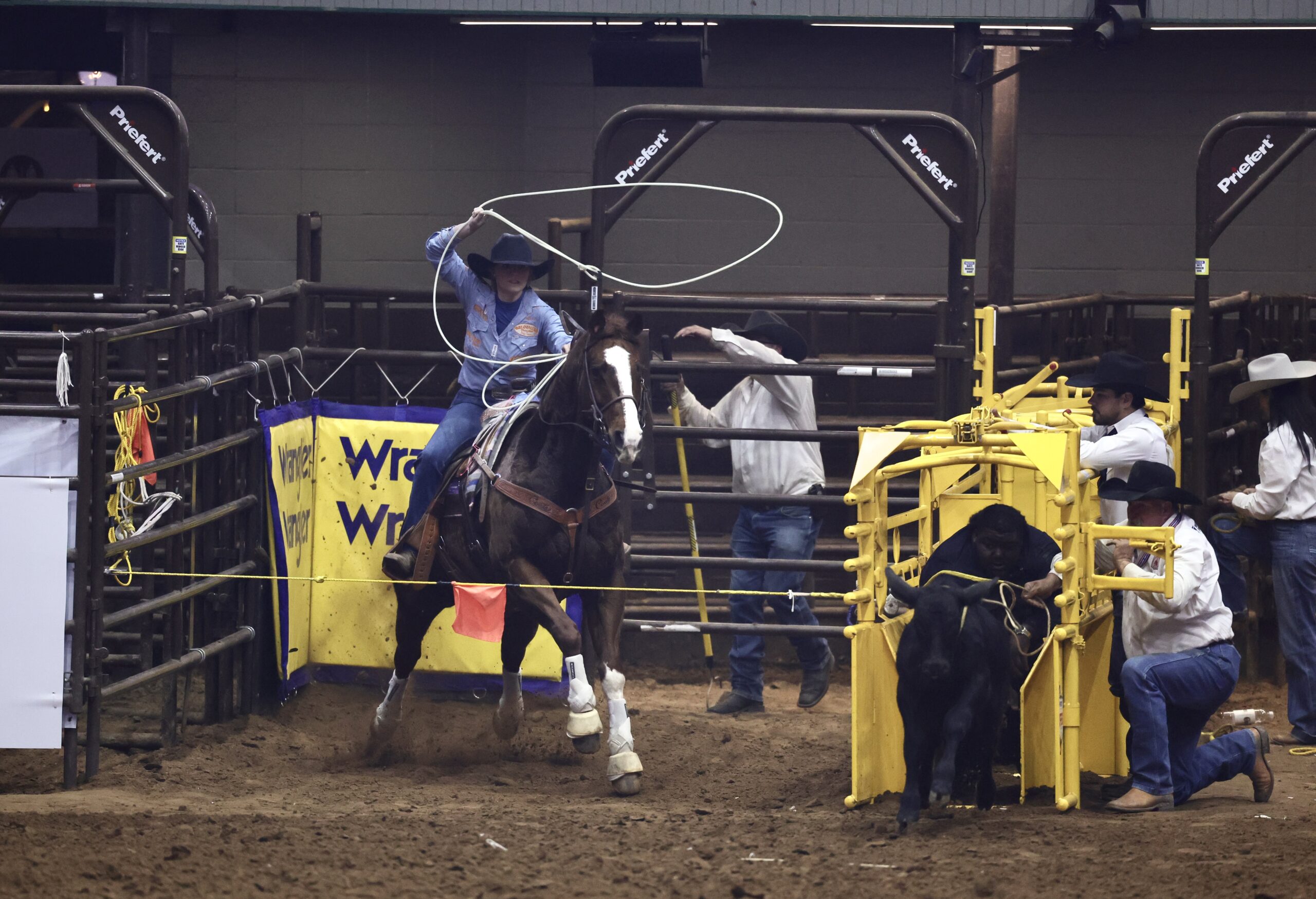 D66F3436-5B33-49D4-86D4-F945F1CE1FE4_1_201_a