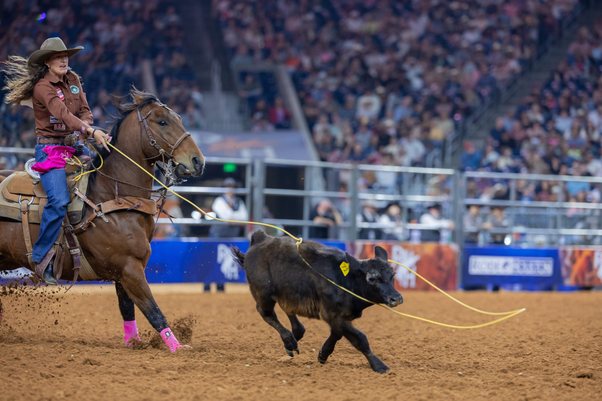 Haiden Thompson Rodeo Houston