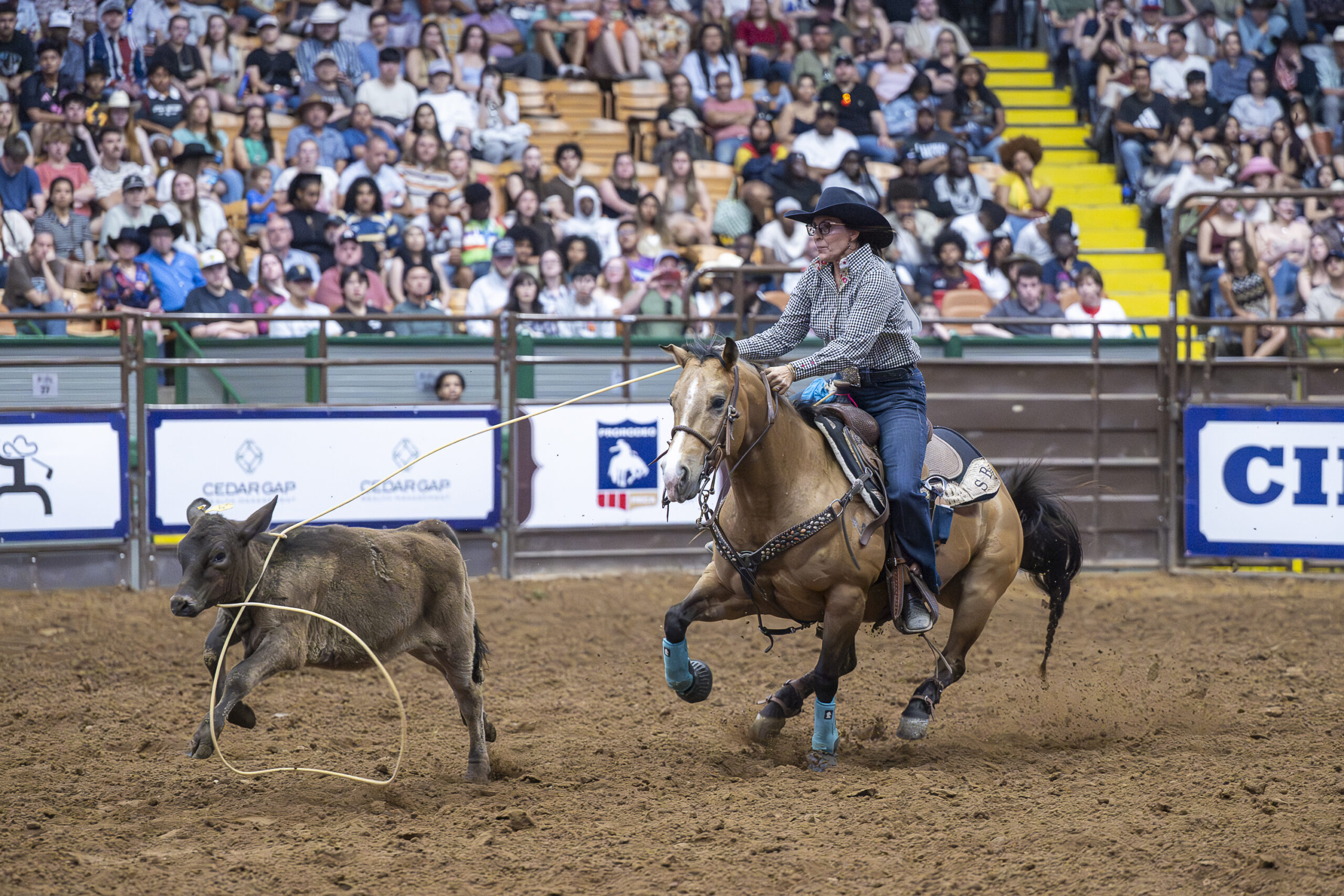 Stepanie Braman resistol rookie roundup