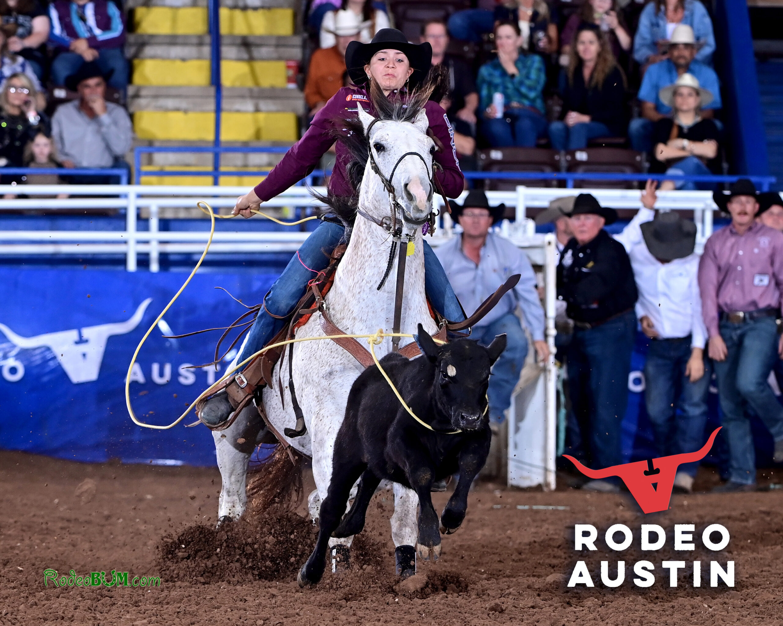 Sawyer Gilbert 2026 Rodeo Austin Champion