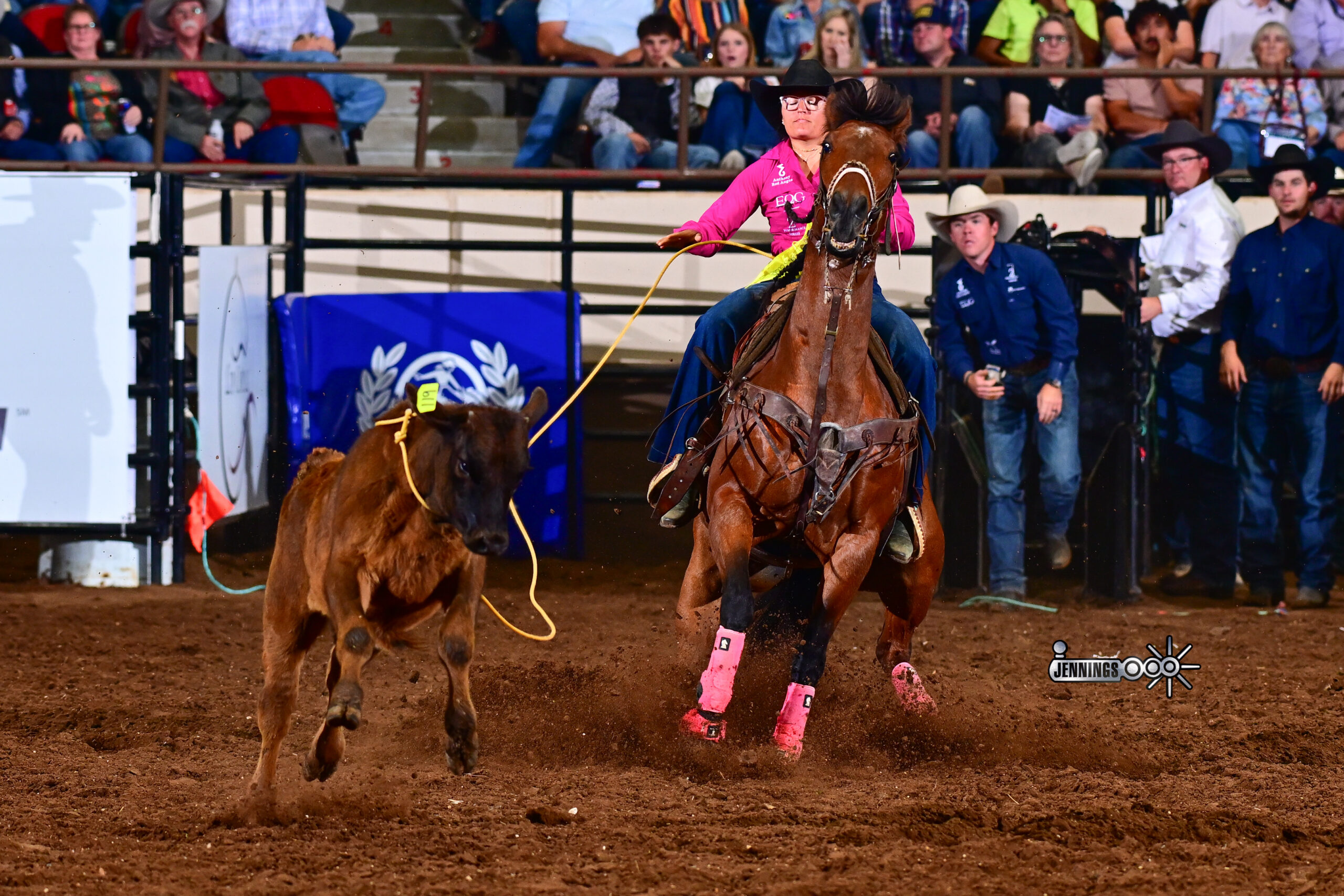 Delani Beatty roping a calf at the 2026 San Angelo Stock Show and Rodeo
