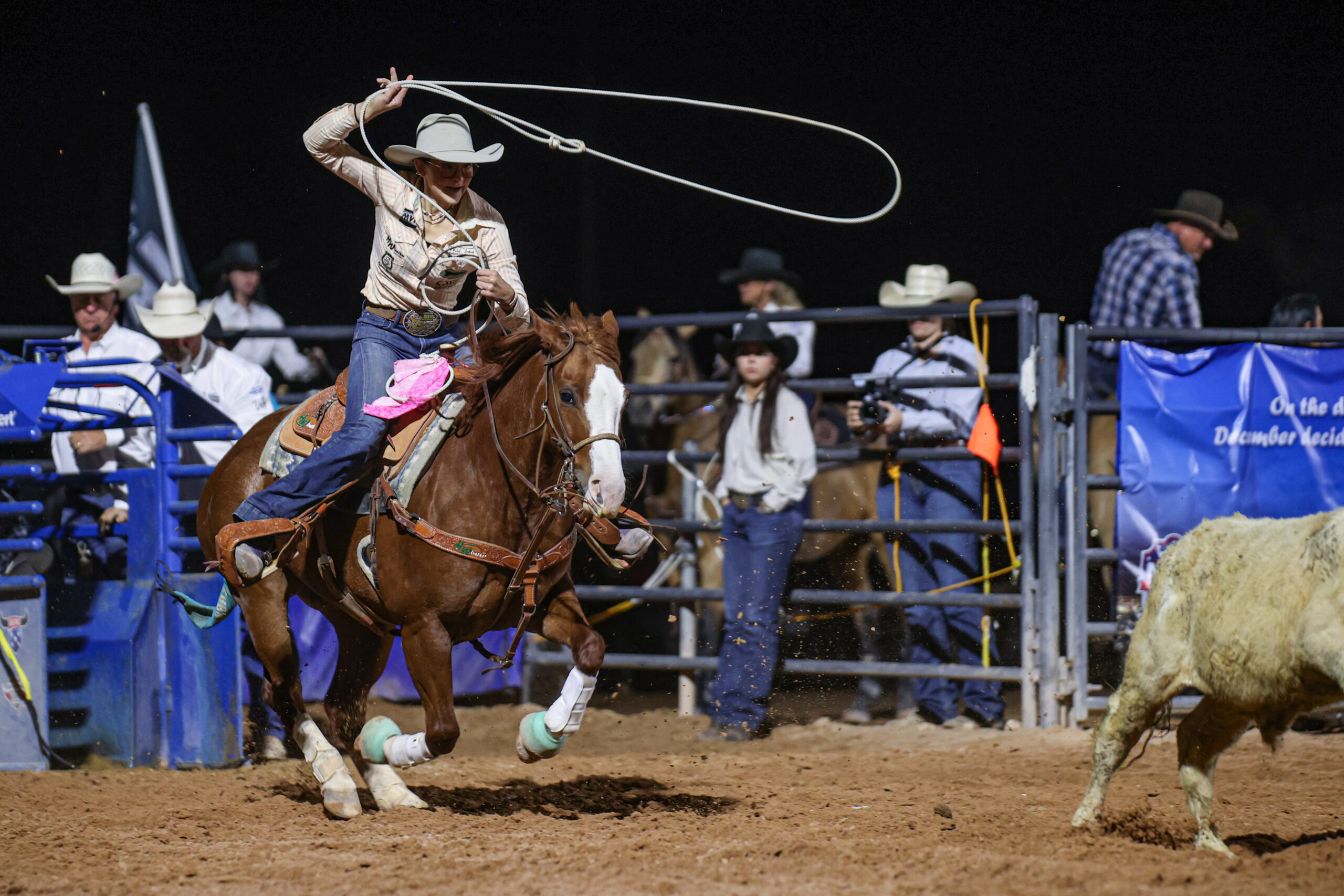 summer williams logandale