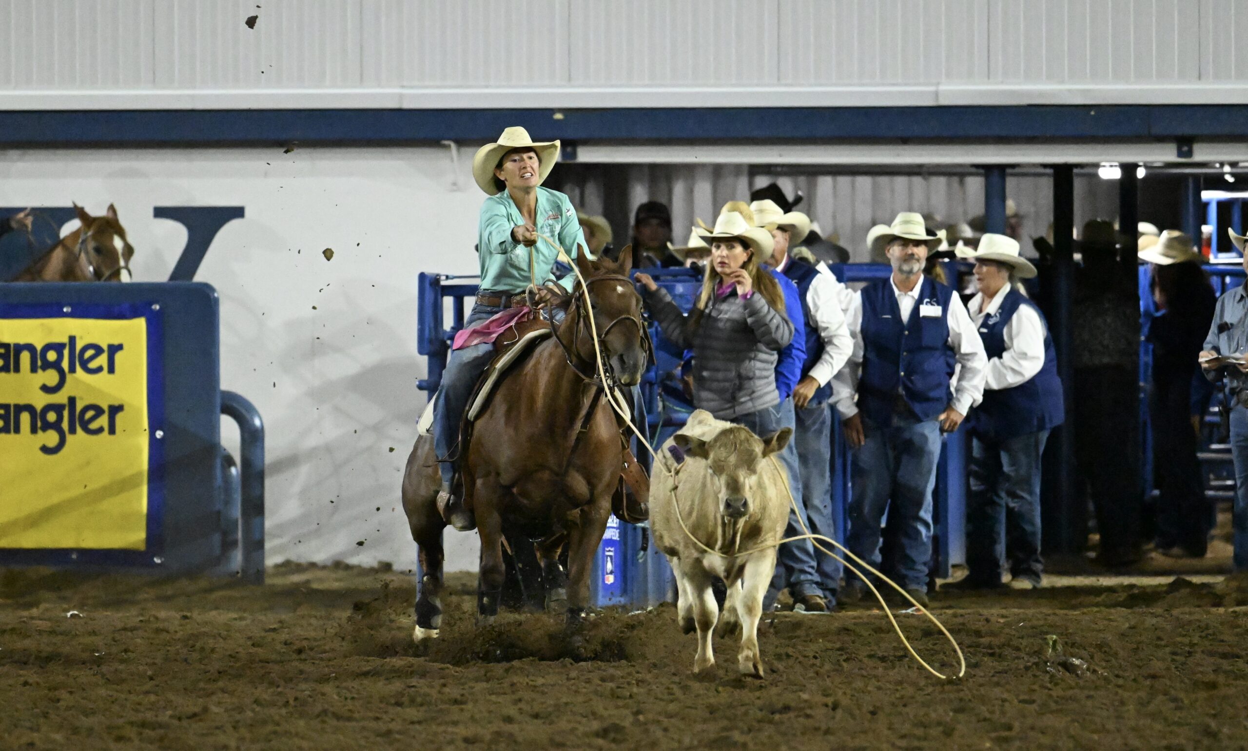 haiden thompson breakaway roper