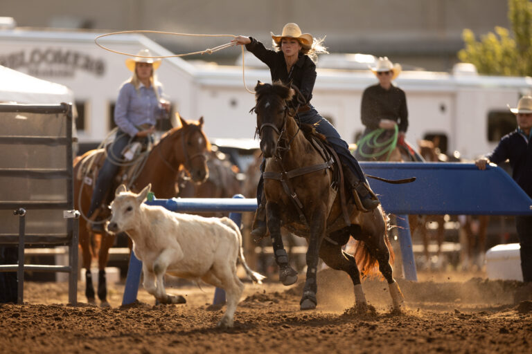 Shalee and Major chasing down a calf in the 4-&-under old west futurity in Heber City, Utah, 2026