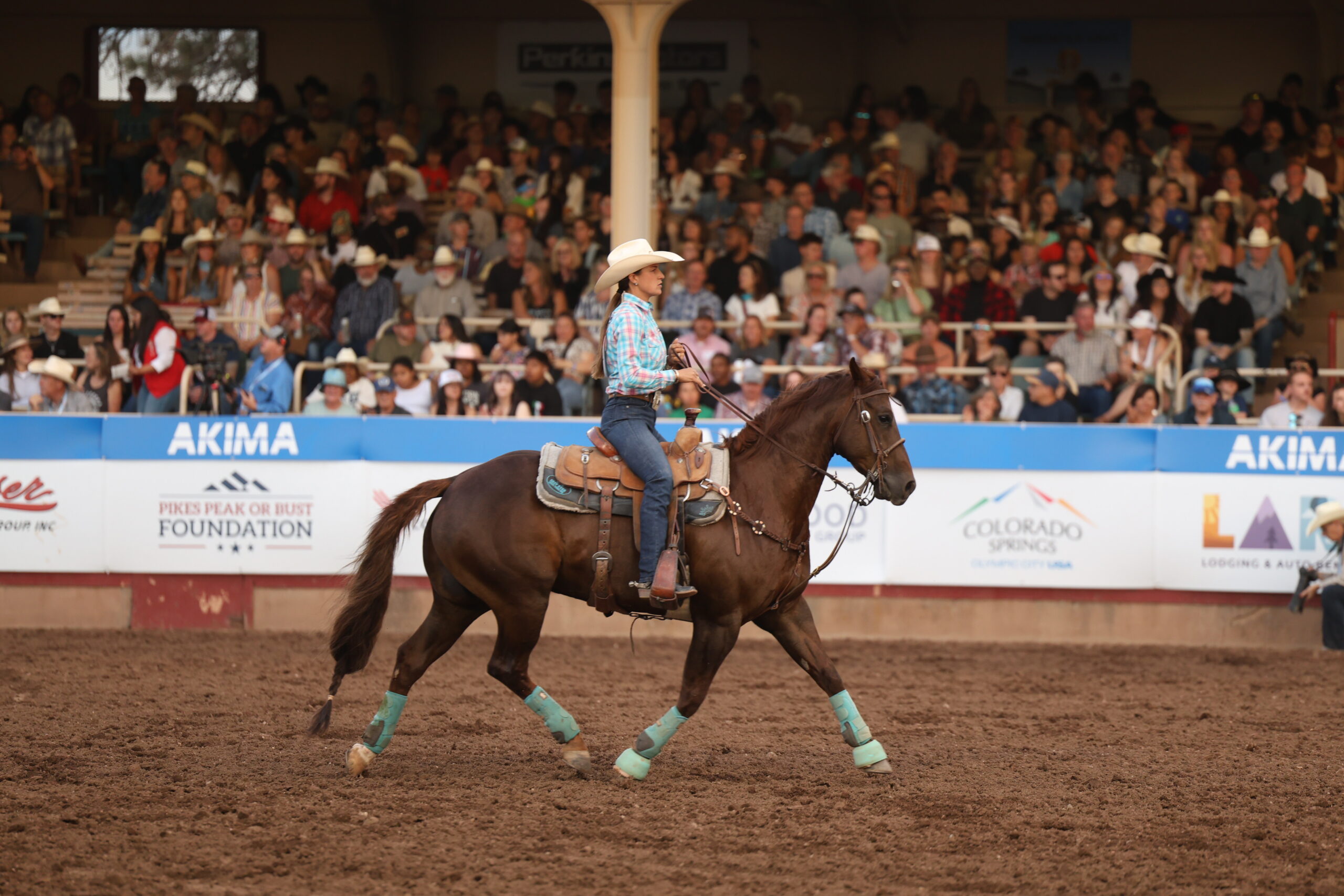 carly bedke nfr open
