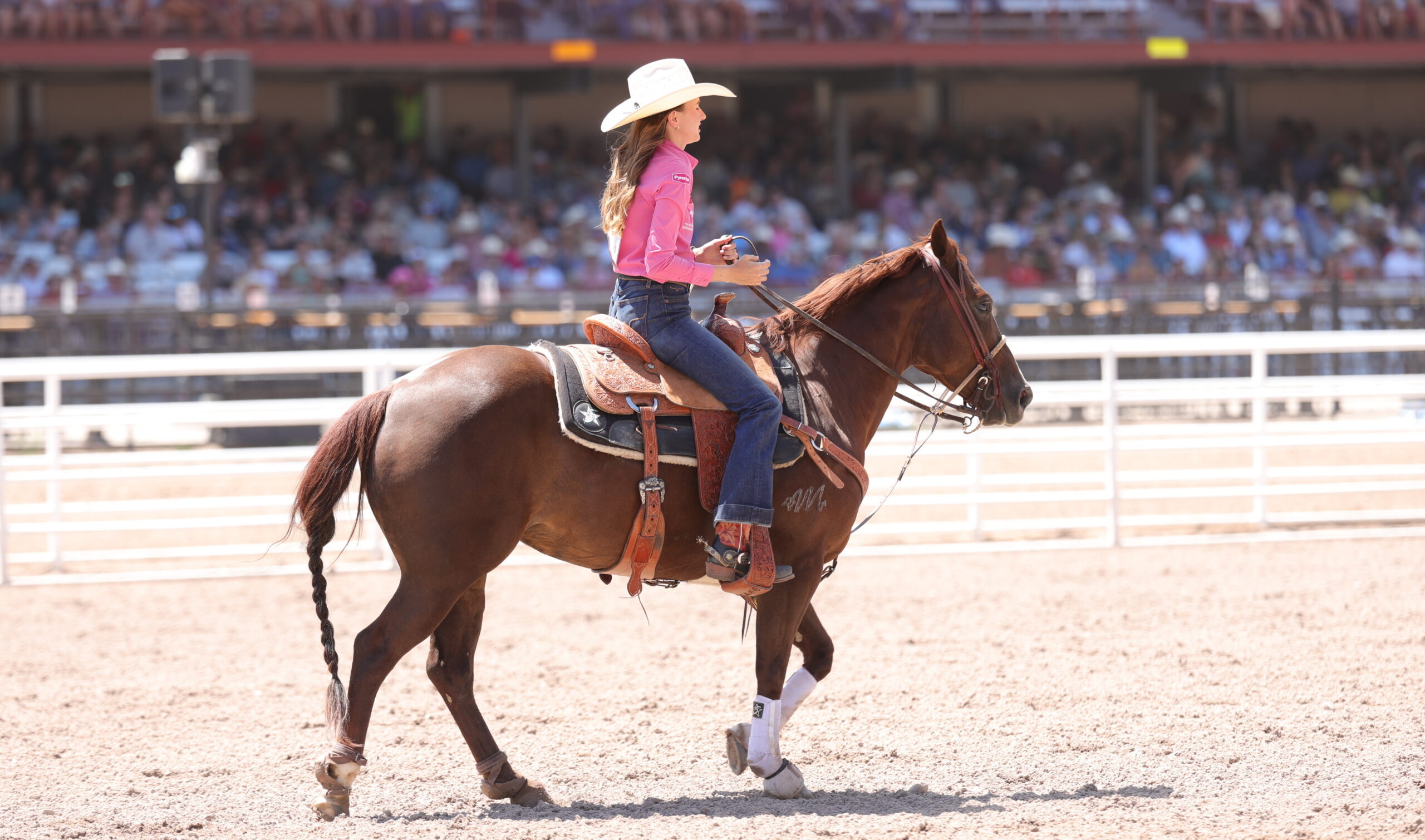 Josie Conner on Checkers at Cheyenne Frontier Days in 2026 breakaway roping.