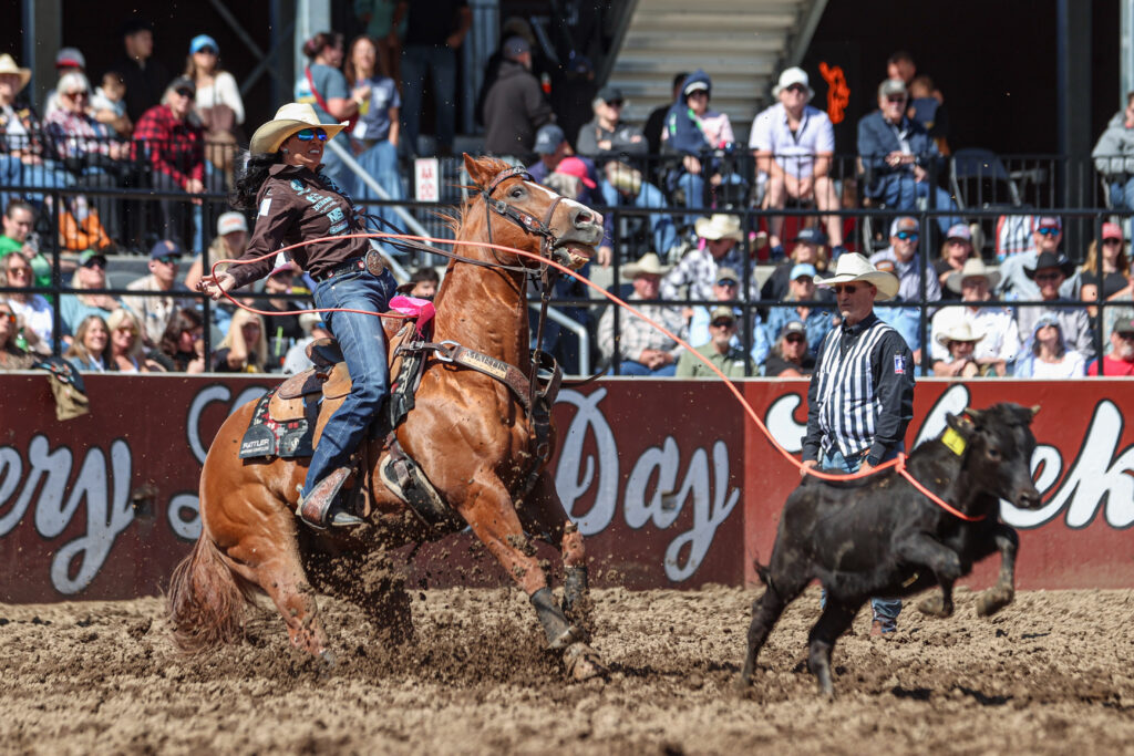 Martha Angelone and horse, Legend, coming to a big sliding stop after roping their calf in a 2,6 second run to tie for the average win in ellensburg, washington.