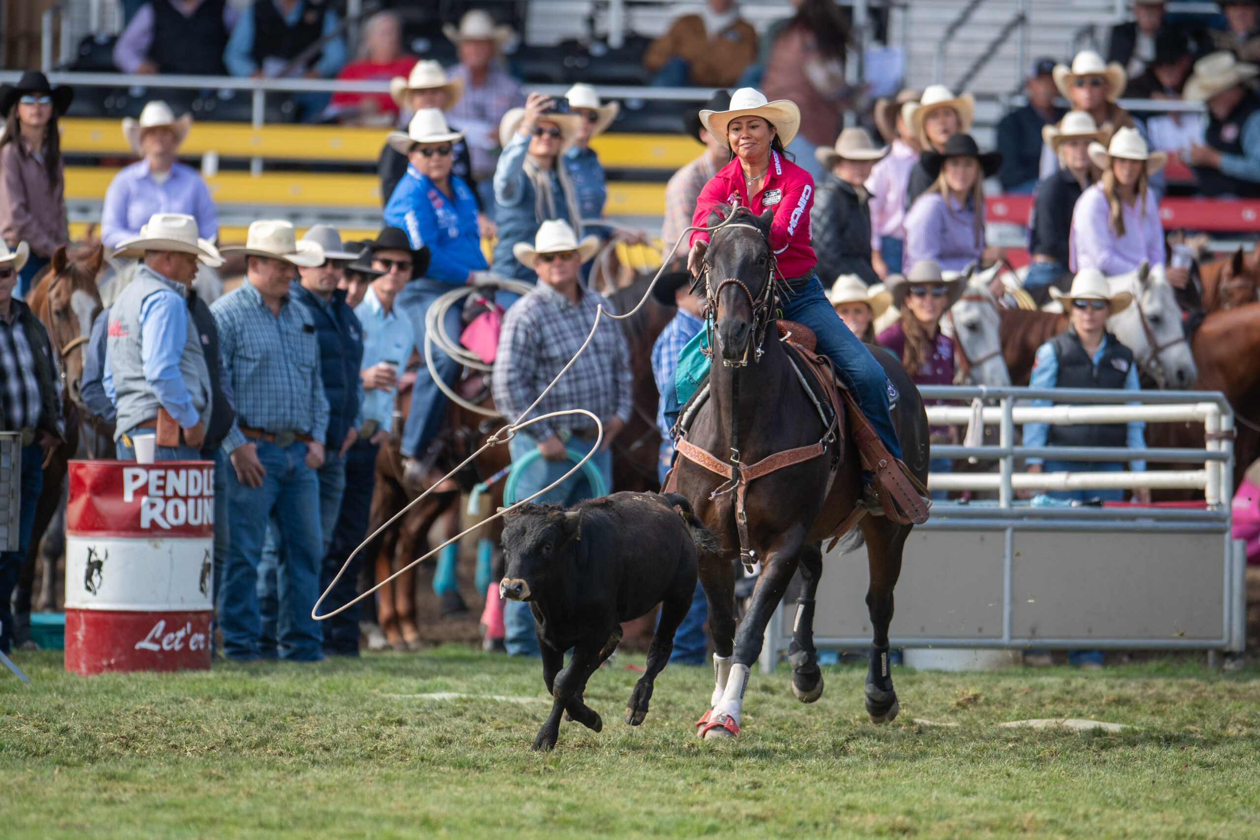 Bailey Bates letting her rope lose to rope her calf on the grass of pendleton 2026