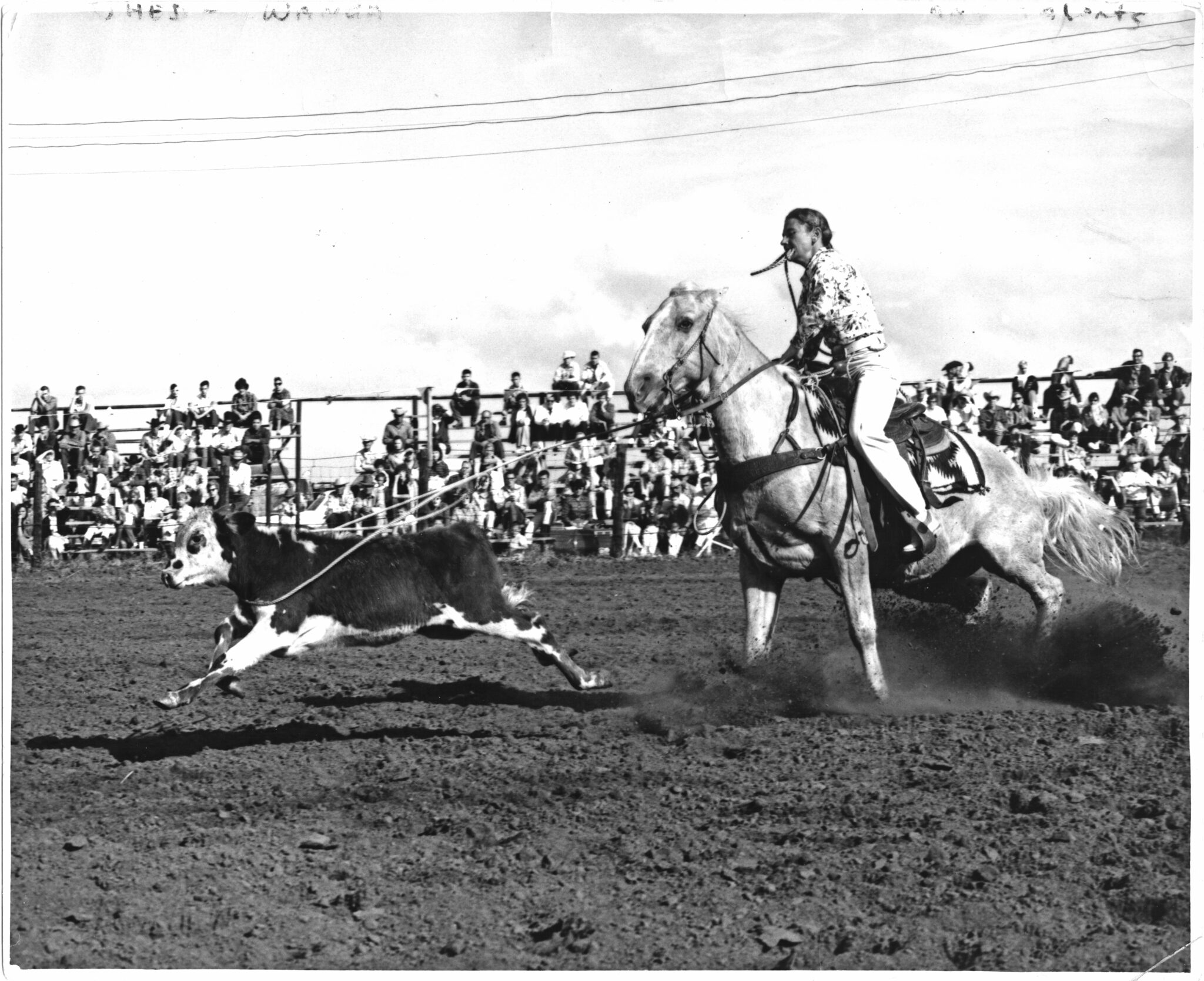 Wanda Harper Bush ropes a calf aboard a gray horse in front of a packed grandstand, piggin string in her teeth