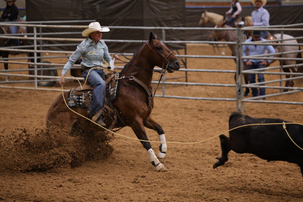 Macie-Rae Warken roping a calf on Kid Outlaw in the Trisate arena in Amarilllo Texas at the Old West Futurities World Championship