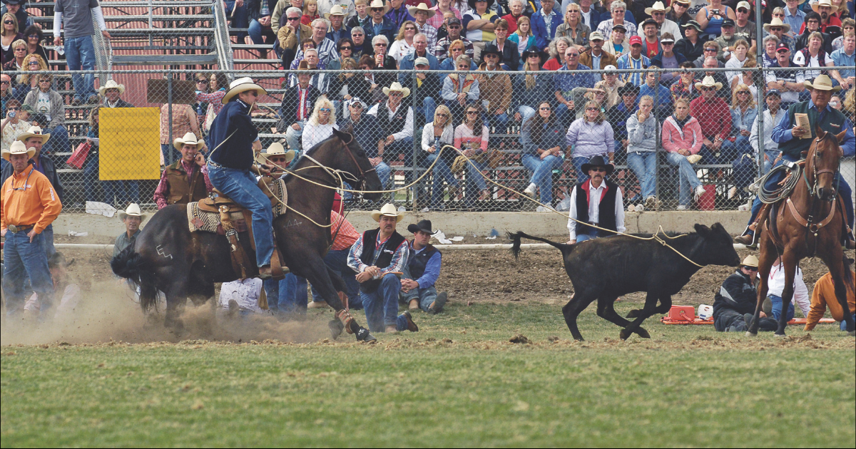 joe beaver at the 2006 pendleton round up calf roping