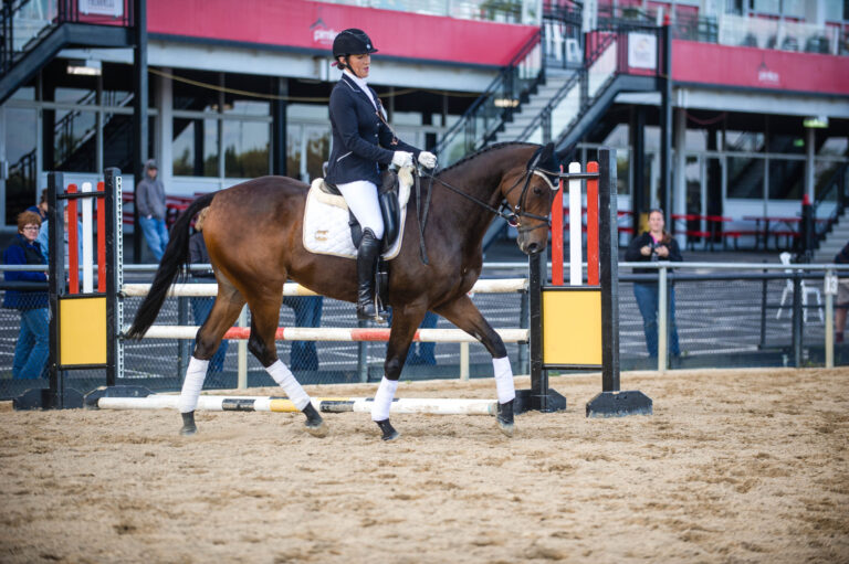 Thoroughbred