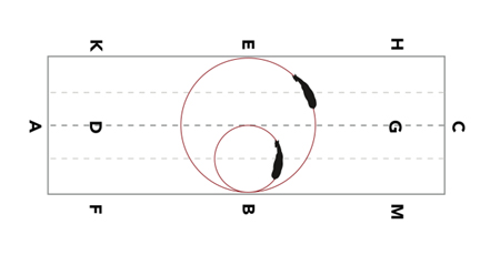 DressageCircles copy