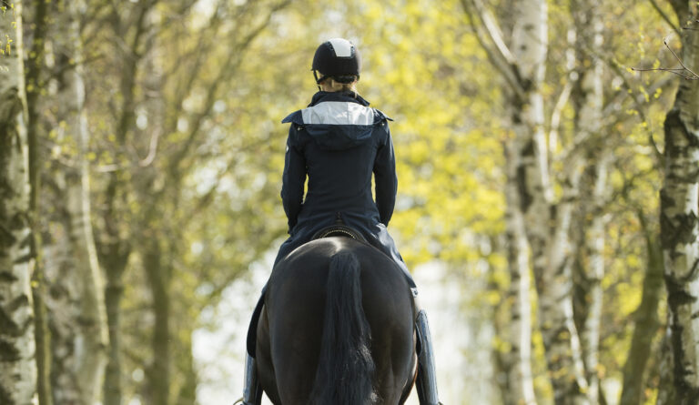 SeniorDressage_12copy