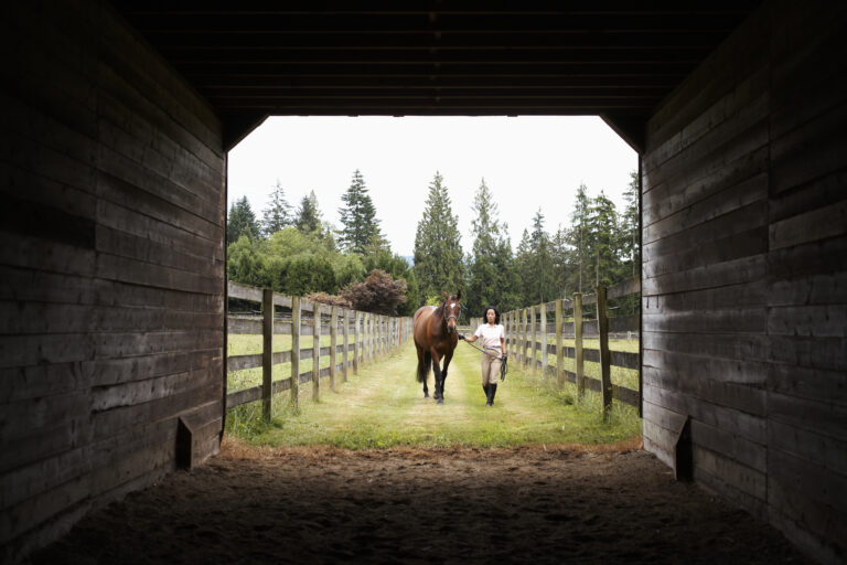 Mature woman walking horse into stable