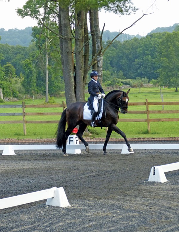 DT-01-dressage-dental-throughness