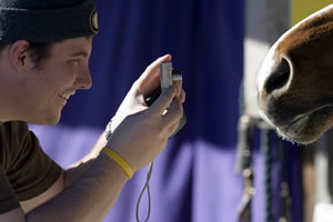 All photos by Sharon P