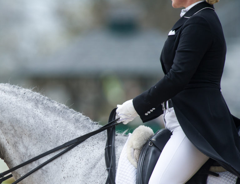 contact dressage training